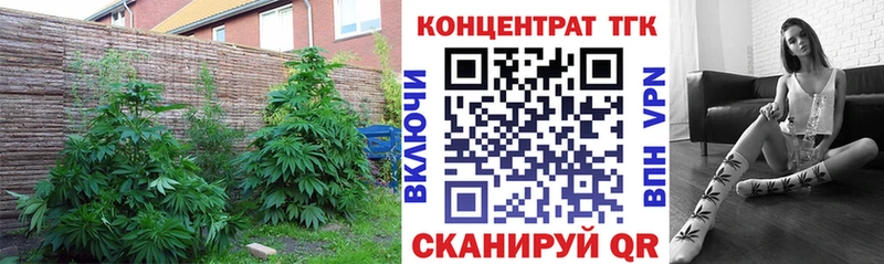 Дистиллят ТГК жижа  где купить   Ачинск 