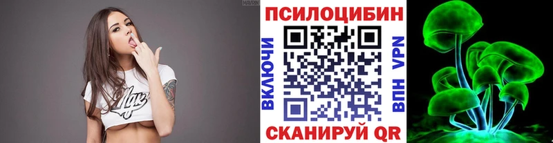 Псилоцибиновые грибы Psilocybe  где можно купить наркотик  ссылка на мегу tor  Ачинск 